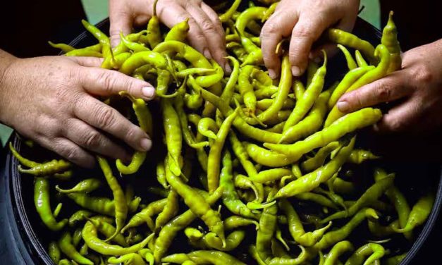 Revista Gastro Aragón 101. 15 años de agroalimentación
