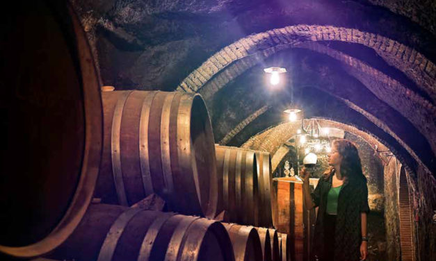 Revista Gastro Aragón 95. Viajar por el vino