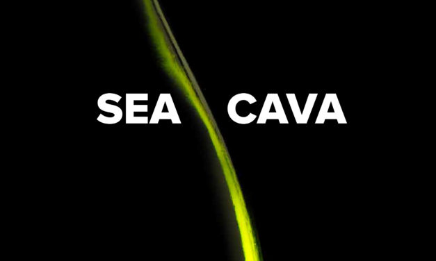 Revista Gastro Aragón 97. Sea cava
