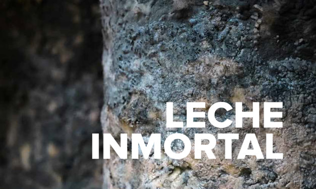 Revista Gastro Aragón 99. Leche inmortal