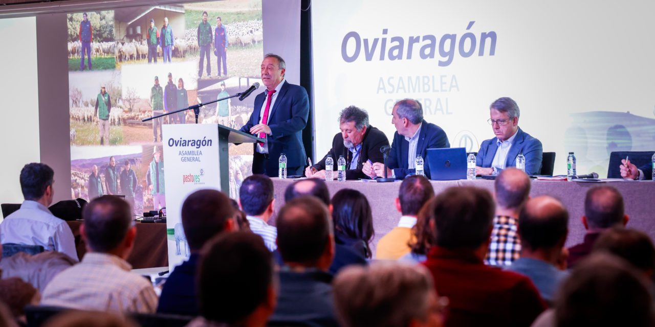 Pastores Grupo Cooperativo crece un 5,45% apostando por la calidad y la diversificación