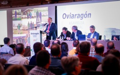 Pastores Grupo Cooperativo crece un 5,45% apostando por la calidad y la diversificación