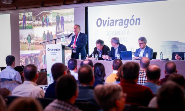 Pastores Grupo Cooperativo crece un 5,45% apostando por la calidad y la diversificación