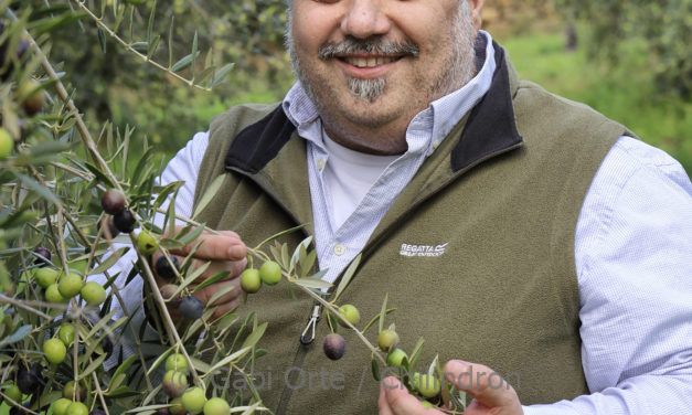 El aceite aragonés brilla: la UE concede la DOP al Aceite del Somontano