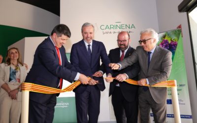 El nuevo museo del vino de la DOP Cariñena une tradición y modernidad en un viaje sensorial, inmersivo e interactivo