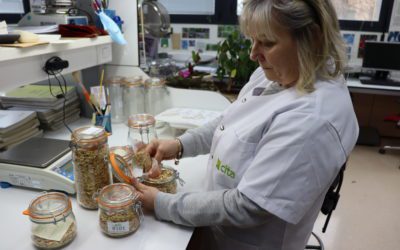 Adiós a una vida entre semillas: Mª Ángeles Vela se jubila tras más de 40 años en el Banco de Germoplasma Hortícola del CITA