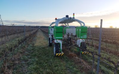 Viñas del Vero avanza en el uso de las energías renovables con el proyecto europeo Harvrest