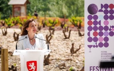 El Festival Internacional de la Garnacha reunirá a 21 bodegas en el parque de Macanaz entre el 6 y 8 de junio