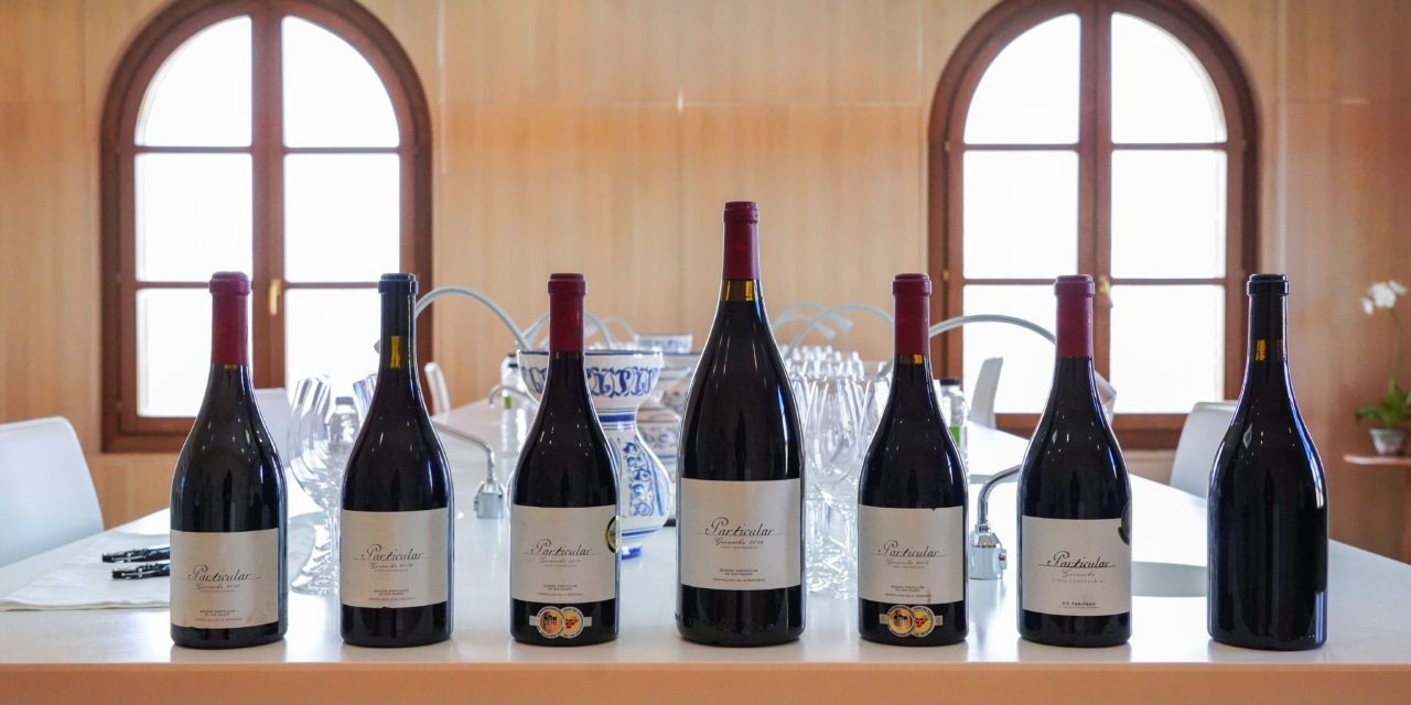 El MW Pedro Ballesteros realiza una cata vertical histórica de todas las añadas de Particular Garnacha Viñas Centenarias de Bodegas San Valero
