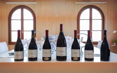 El MW Pedro Ballesteros realiza una cata vertical histórica de todas las añadas de Particular Garnacha Viñas Centenarias de Bodegas San Valero
