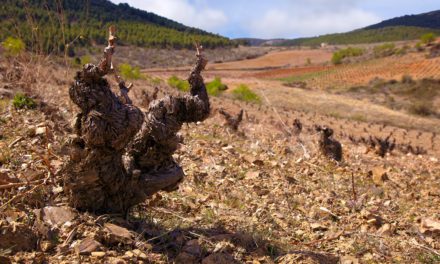 VINOvidiVINCI. El matrimonio Aragón EEUU