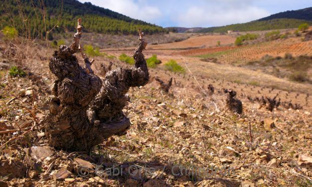 VINOvidiVINCI. El matrimonio Aragón EEUU