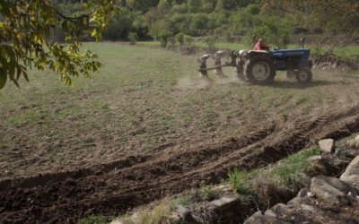 Resultados provisionales de las elecciones al Comité Aragonés de Agricultura Ecológica