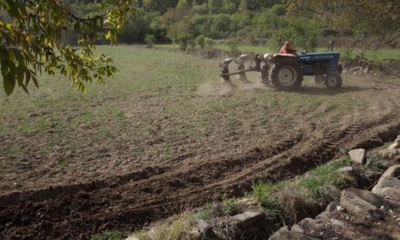 Resultados provisionales de las elecciones al Comité Aragonés de Agricultura Ecológica