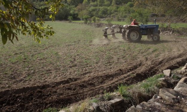 Resultados provisionales de las elecciones al Comité Aragonés de Agricultura Ecológica