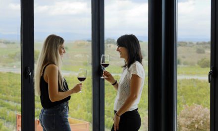 Bodegas El Grillo y la Luna apuesta fuertemente por el enoturismo