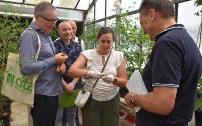 Cocineros con estrella Michelin visitan el CITA para conocer proyectos punteros de innovación gastronómica