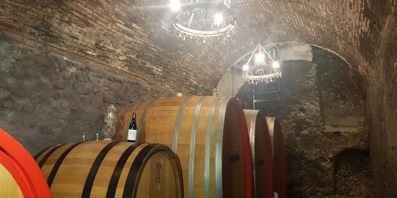Agricultura lanzará una nueva convocatoria de ayudas para promocionar el vino en mercados internacionales