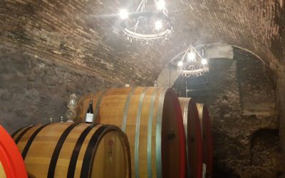 Agricultura lanzará una nueva convocatoria de ayudas para promocionar el vino en mercados internacionales