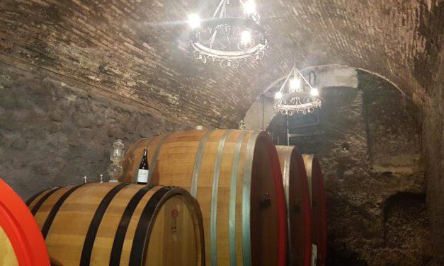 Agricultura lanzará una nueva convocatoria de ayudas para promocionar el vino en mercados internacionales