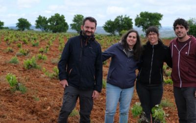 El proyecto FITE ACTIVITé busca viñedos singulares y autóctonos en Teruel