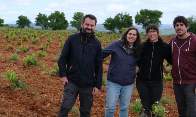 El proyecto FITE ACTIVITé busca viñedos singulares y autóctonos en Teruel