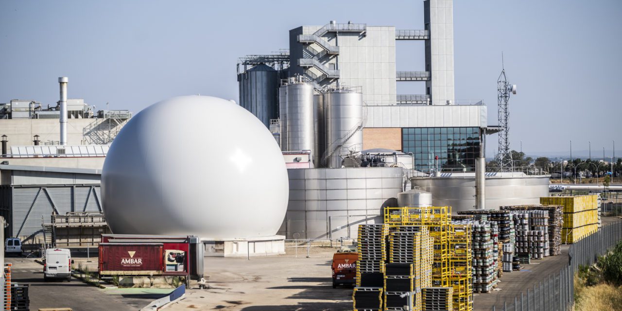 El gran globo que guarda energía para elaborar Ambar