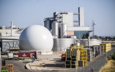 El gran globo que guarda energía para elaborar Ambar