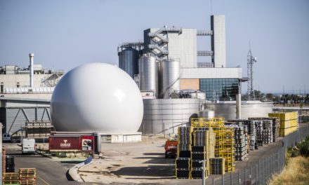 El gran globo que guarda energía para elaborar Ambar