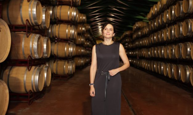 Ayuso celebra el ‘excelente trabajo’ de la DOP Cariñena para lograr ‘unos vinos cada vez más ricos y reconocidos’