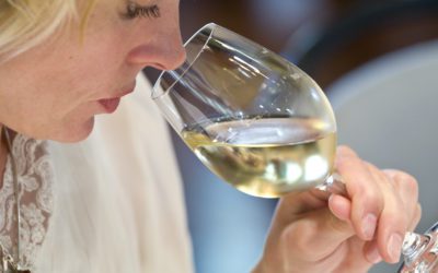 VINOvidiVINCI. A por el verano