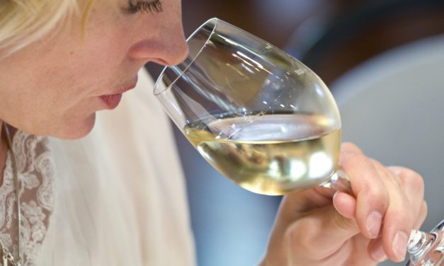 VINOvidiVINCI. A por el verano