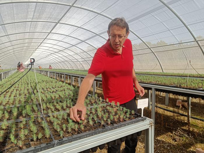 El vivero de Ejea produce más de 586.000 plantas para el Plan de Reforestación de Aragón 2024-2027