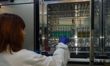 El estudio genético confirma que el origen del brote de salmonelosis en Barbastro fue el tomate triturado de las tostadas