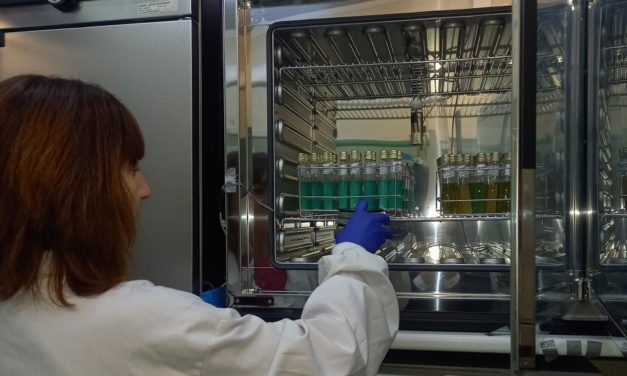 El estudio genético confirma que el origen del brote de salmonelosis en Barbastro fue el tomate triturado de las tostadas