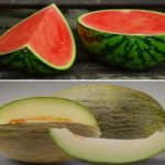 El consumo de melón y sandía crece un 8,6 % en los hogares españoles