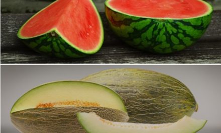 El consumo de melón y sandía crece un 8,6 % en los hogares españoles