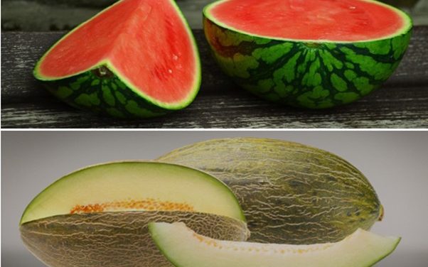 El consumo de melón y sandía crece un 8,6 % en los hogares españoles