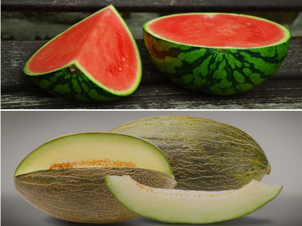 El consumo de melón y sandía crece un 8,6 % en los hogares españoles