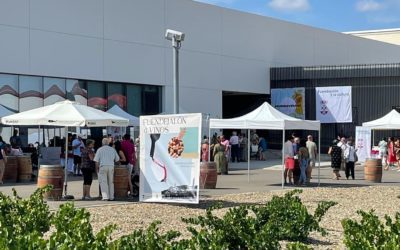 Bodegas Aragonesas ofrecerá, en exclusiva, su nuevo orange wine en la V edición de Fuendejalón D’Vinos