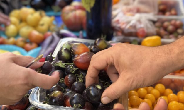 Slow Food Huesca participa como jurado en la XXV Muestra de Frutas y Hortalizas de Barbastro