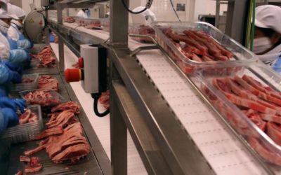 La industria agroalimentaria recibirá más de 18,5 millones de euros en ayudas del departamento de Agricultura en 2026