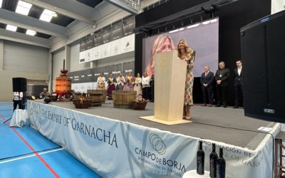Mar Vaquero: “El vino es seña de identidad de Aragón y fuente de riqueza en el medio rural”