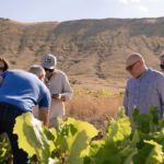 La D.O.P. Calatayud refuerza su proyección exterior con su participación en ‘Planeta Rioja’ y una misión inversa de Polonia