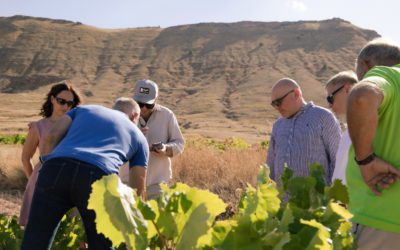 La D.O.P. Calatayud refuerza su proyección exterior con su participación en ‘Planeta Rioja’ y una misión inversa de Polonia