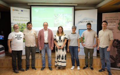 Expertos destacan los beneficios que tiene para la salud y el medio ambiente el consumo y la recuperación de legumbres singulares en Aragón