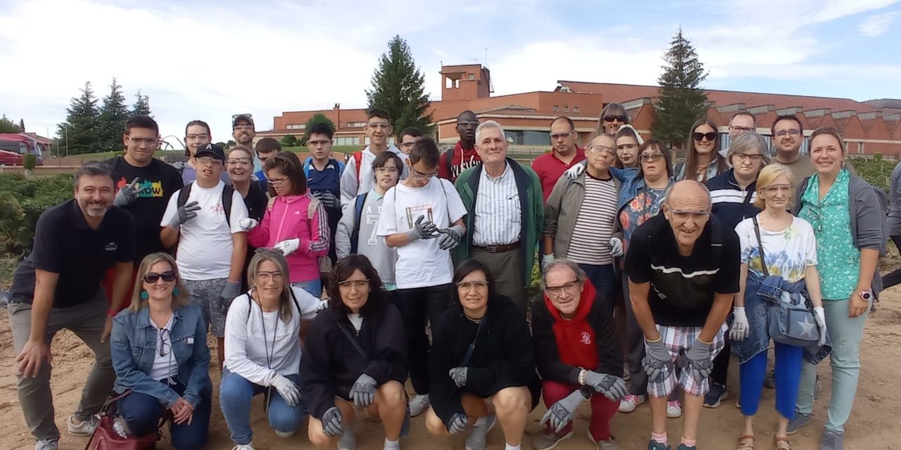 Nueva añada solidaria del Vino de la Amistad de ATADES