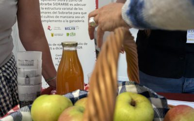 Aínsa lidera el nuevo proyecto de cooperación Sidrarbe