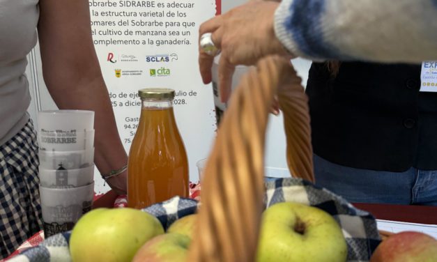 Aínsa lidera el nuevo proyecto de cooperación Sidrarbe