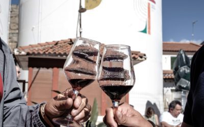 La fiesta de la vendimia llega este fin de semana a Maluenda, de la mano de Bodegas Raíces Ibéricas